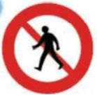 Đề cương ôn tập học kì 2 môn Công nghệ lớp 3 Chân trời sáng tạo