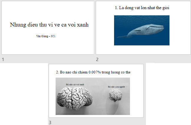 Đề thi học kì 2 môn Tin học lớp 3