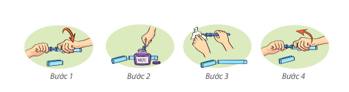 Đề thi Học kì 2 Tin học lớp 3 Chân trời sáng tạo có đáp án (4 đề)