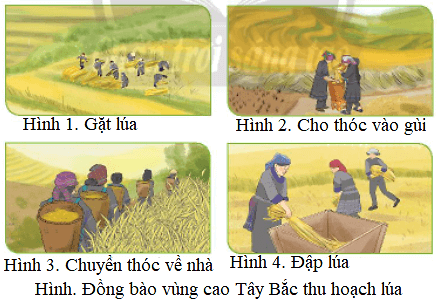 Đề thi Học kì 2 Tin học lớp 3 - Đề 3