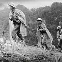 Đề 2: Cảm nhận về vẻ đẹp của con người và thiên nhiên qua đoạn thơ: "Doanh trại... hoa đong đưa"