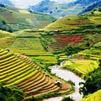 Đề 2: Cảm nhận về đoạn thơ "Mình đi có nhớ những ngày... nghĩa tình bấy nhiêu"