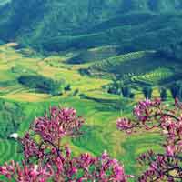 Đề 3: Cảm nhận đoạn thơ bức tranh tứ bình trong "Việt Bắc"