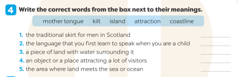 Giải SBT Tiếng Anh 7 Global Success Unit 12 Vocabulary & Grammar