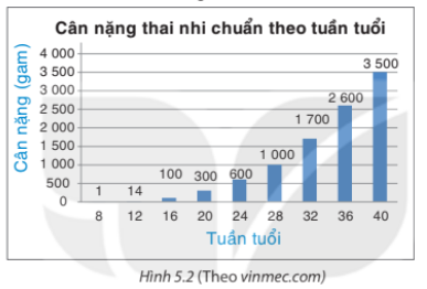 Giải Hoạt động 3 trang 94 sgk Toán 8 tập 1 Kết nối