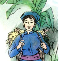 Tư liệu tham khảo Việt Bắc