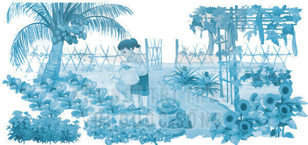 Bài 23: Tôi yêu em tôi