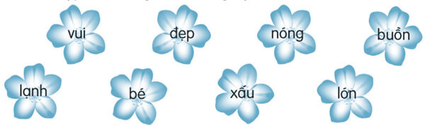 Bài 26: Đi tìm mặt trời