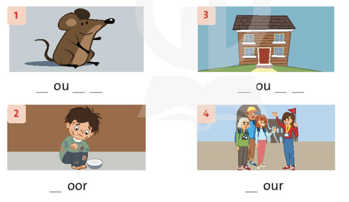 Family and Friends 3 Workbook Unit 12 Lesson 4 trang 85