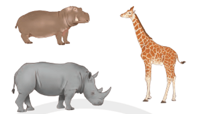 Toán lớp 4 trang 11 Chân trời sáng tạo | Giải bài tập Toán lớp 4