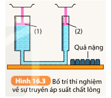Khoa học tự nhiên 8