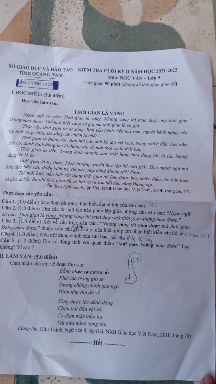 Đề thi cuối kì 2 lớp 9 môn Văn