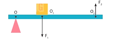 Khoa học tự nhiên 8