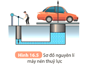 Khoa học tự nhiên 8