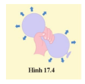 Khoa học tự nhiên 8