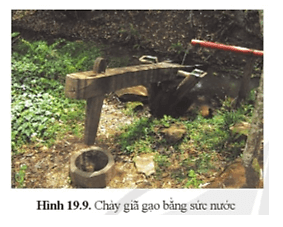 Khoa học tự nhiên 8