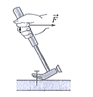 Khoa học tự nhiên 8