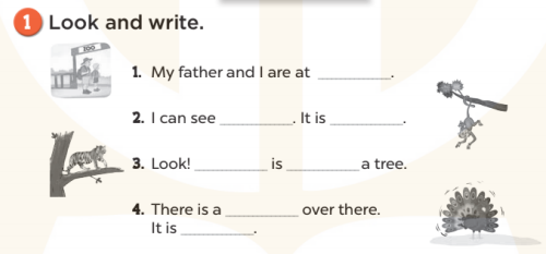 Sách bài tập Tiếng Anh 3 Unit 20 At the zoo