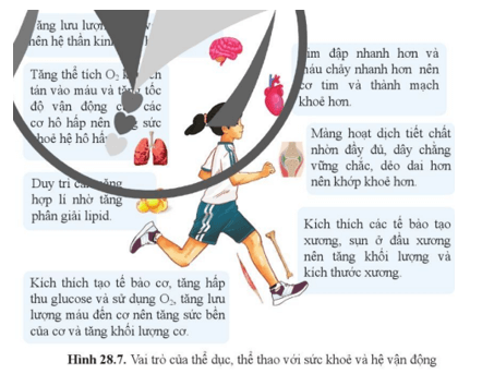 Khoa học tự nhiên 8