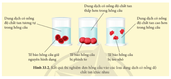 Khoa học tự nhiên 8