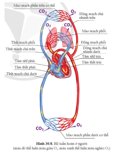Khoa học tự nhiên 8