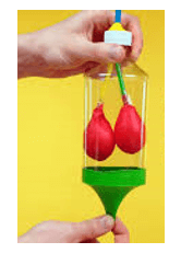 Khoa học tự nhiên 8