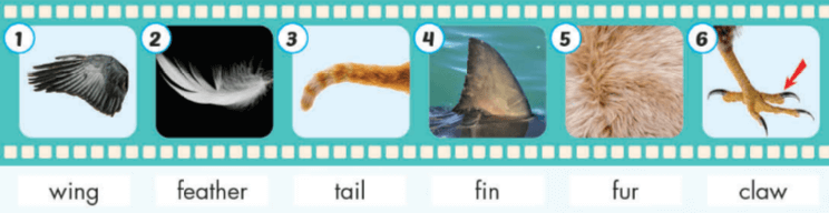 Tiếng Anh 4 i-Learn Smart Start Unit 1 Science