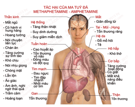 Khoa học tự nhiên 8