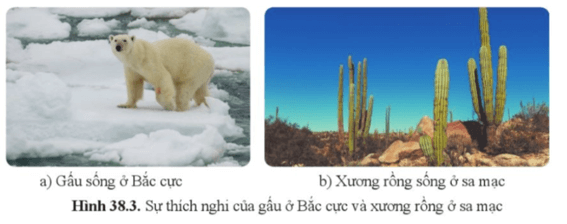 Khoa học tự nhiên 8