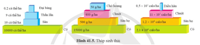 Khoa học tự nhiên 8