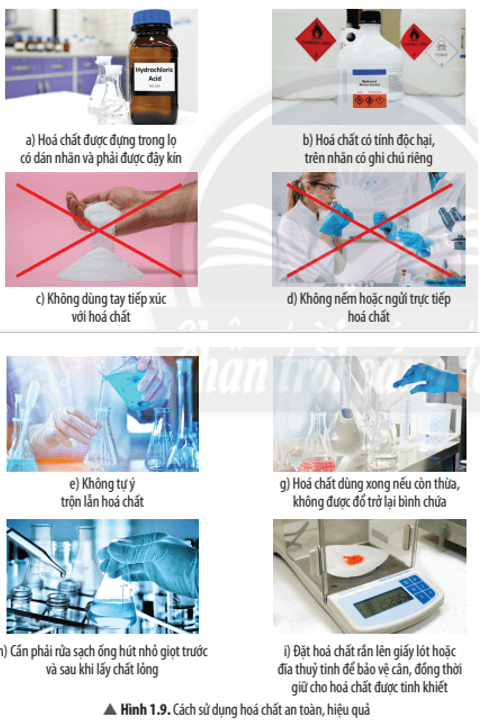 Khoa học tự nhiên 8