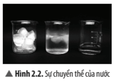 Khoa học tự nhiên 8