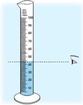Khoa học tự nhiên 8