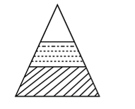 Khoa học tự nhiên 8