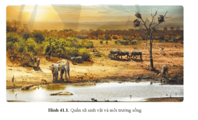 Khoa học tự nhiên 8