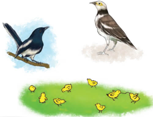 Luyện tập về động từ trang 34