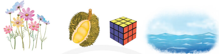 Luyện từ và câu lớp 4: Luyện tập về tính từ