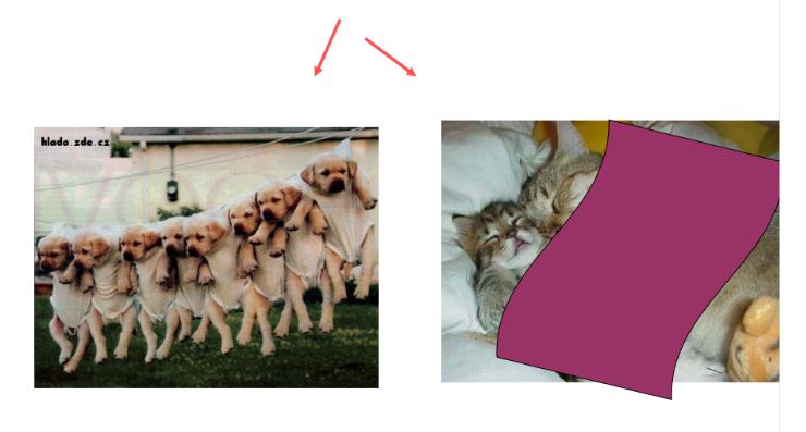 Thử tài với đuổi hình bắt chữ