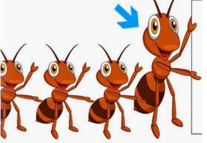 Thử tài với đuổi hình bắt chữ