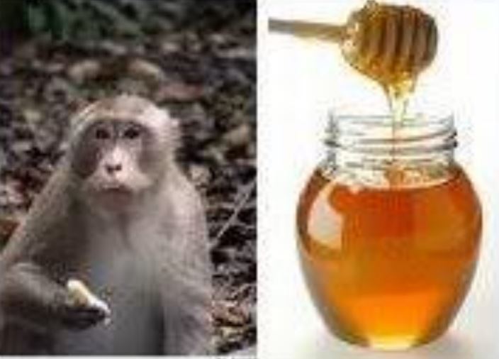 Thử tài với đuổi hình bắt chữ