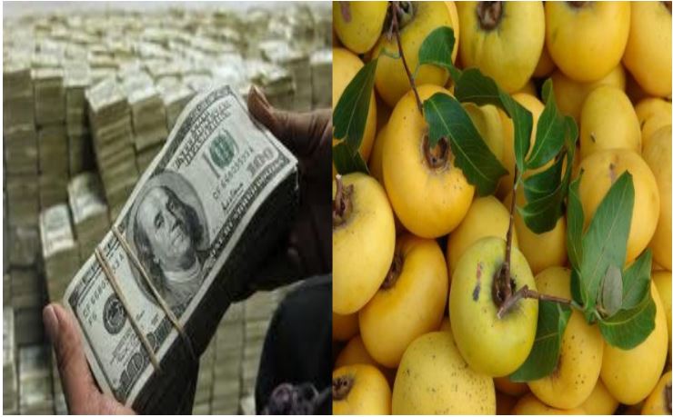 Thử tài với đuổi hình bắt chữ