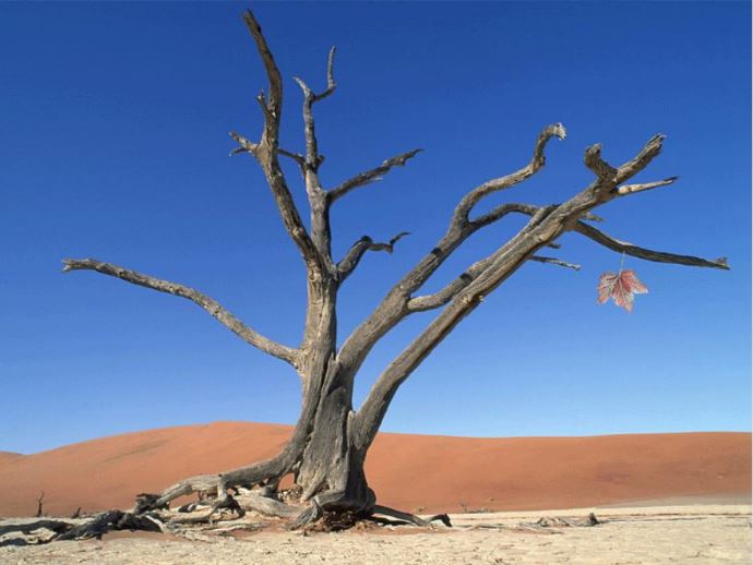 Thử tài với đuổi hình bắt chữ