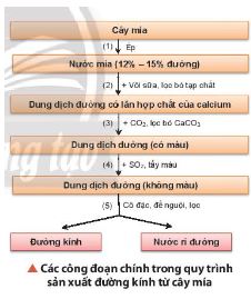 Hóa học 11 Chân trời sáng tạo bài 9