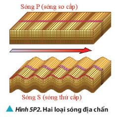Vật lí 11 Chân trời sáng tạo bài 5