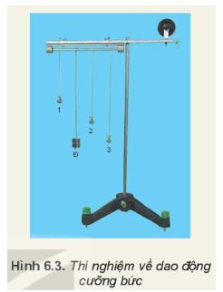 Vật lí 11 Kết nối tri thức bài 6