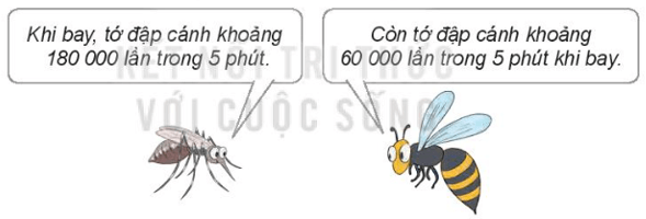 Toán lớp 4 trang 80 Kết nối tri thức | Giải Toán lớp 4