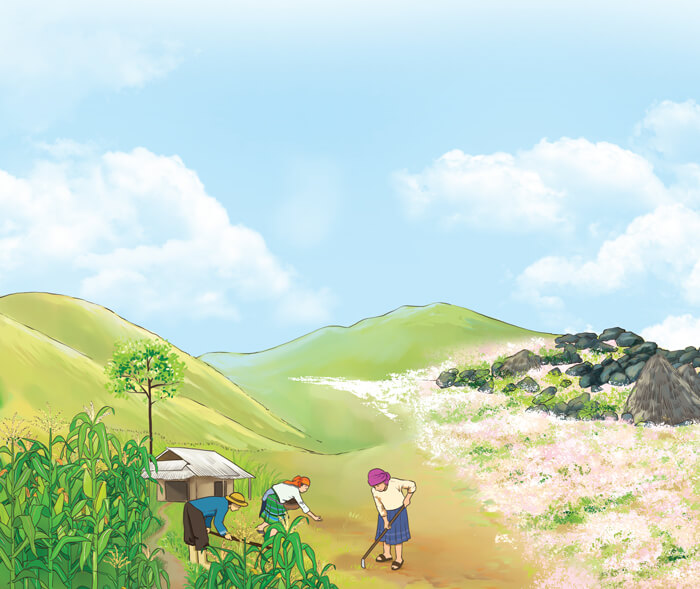 Những mùa hoa trên cao nguyên đá lớp 4