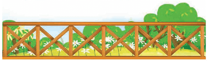 Toán lớp 4 trang 73 Hoạt động thực tế Chân trời sáng tạo