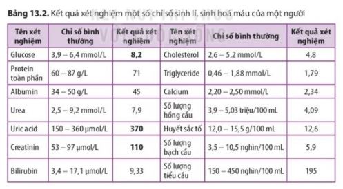 Sinh 11 Kết nối tri thức bài 13