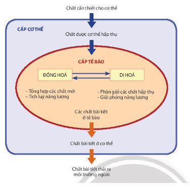 Sinh 11 Chân trời sáng tạo bài 1